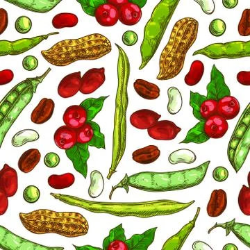 Beans, nuts, seeds vector seamless pattern Illustrazione stock