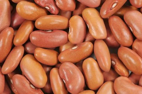 Beans Stock Photos