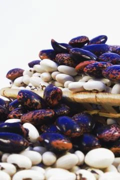 Beans Stock Photos