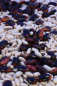 Beans Stock Photos