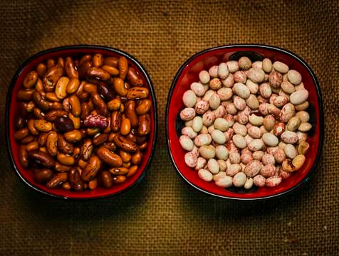 Beans Stock Photos