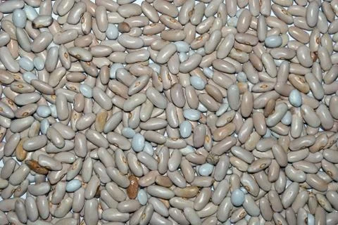 Beans Foto stock