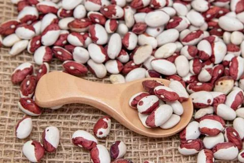 Beans. Stock Photos