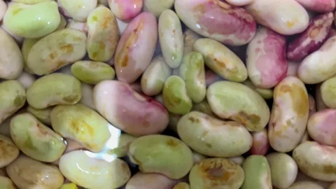 Beans in a pot Stock Footage 217402780