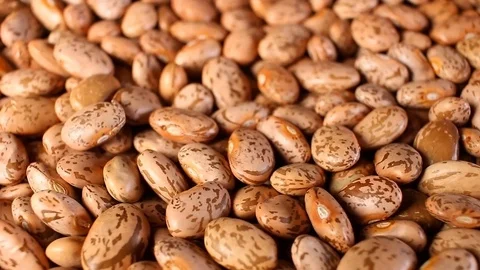 Beans. Raw bean grains rotating pattern macro texture background backdrop Stock Footage 91378965