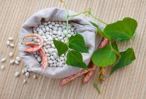 Beans in  the sack Stock-Fotos