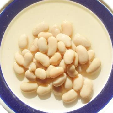 Beans salad Stock Photos
