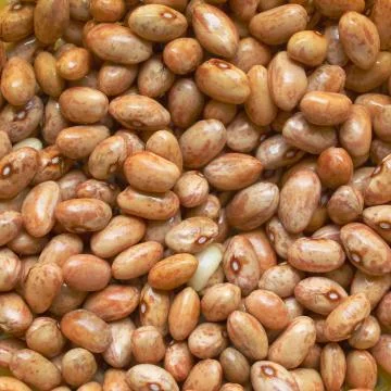 Beans salad Stock Photos