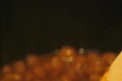 Beans Scoop Video stock 92300