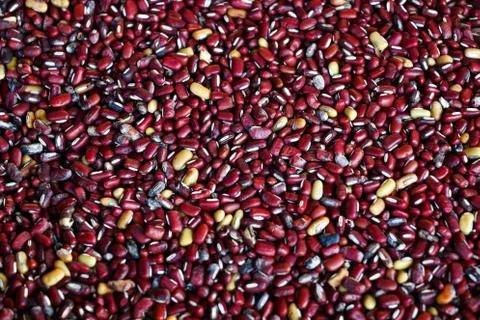 Beans seed Stock Photos