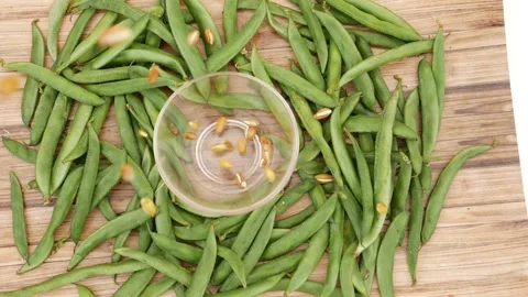 Beans seeds falling over transparent glass with green beans around Video stock 159638237