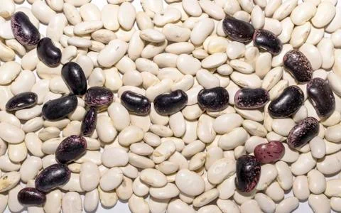 Beans shaped arrow Foto stock