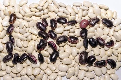 Beans shaped subtitles Foto stock