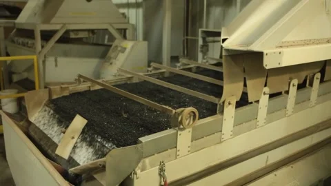 Beans Sorting (2 compositions) 動画素材 172208008