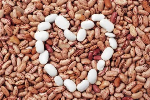 Beans texture Stock Photos