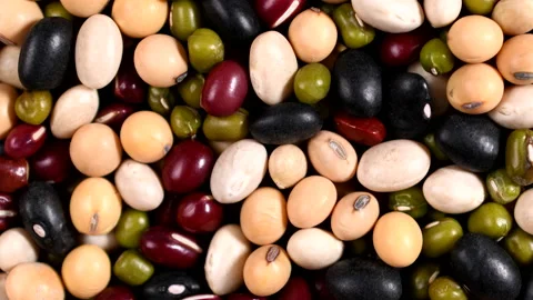 Beans top view. Red bean, Mung bean, Black bean, White bean, Soybean Video stock 138070015