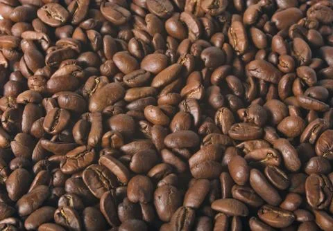 Beans on a white background Stock Photos