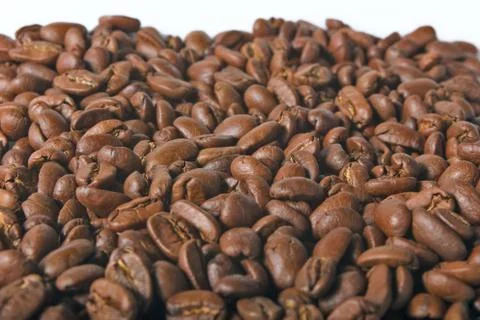 Beans on a white background Stock Photos