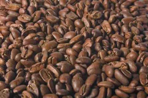 Beans on a white background Stock Photos