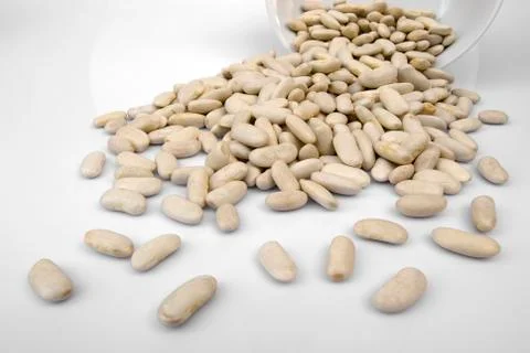 Beans on white background Stock Photos