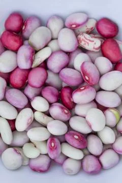 Beans white Stock Photos