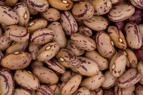Beans2 bcg Stock Photos