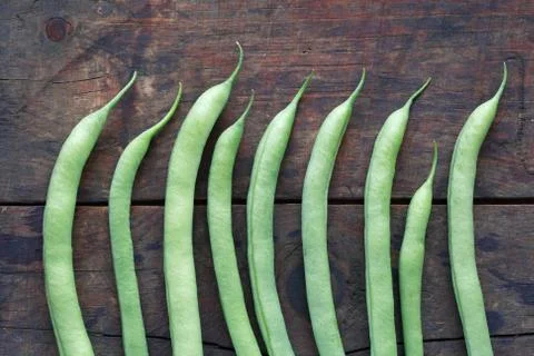 Beanstalk Background Stock Photos