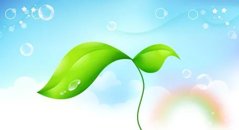 Beanstalk Stock Illustration