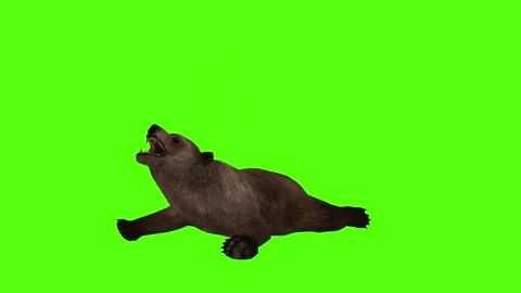 Bear 2 legs Death Green Sccreen Animation 4k Rendering Stock Footage 296263014