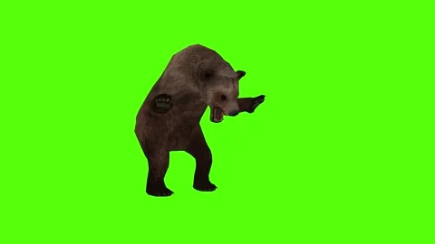 Bear 2 legs Getting Hit Green Sccreen Animation 4k Rendering Stock Footage 296263030