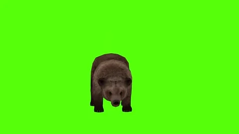 Bear 2 legs to ground Green Sccreen Animation 4k Rendering Stock Footage 296263041