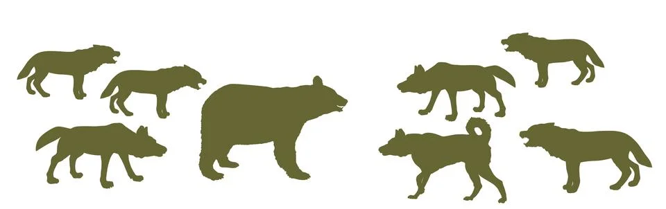 Bear against wolf pack vector silhouette illustration isolated. Иллюстрация