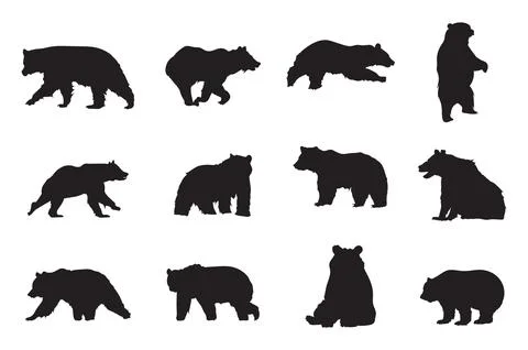 Bear Animal Collection Ilustración de archivo