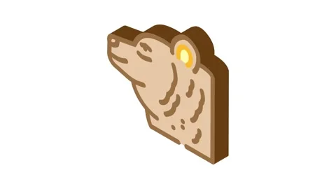Bear animal isometric icon animation Stock Footage 327287041