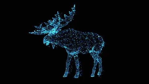 Bear animate  particle Stockbeeldmateriaal 197095852