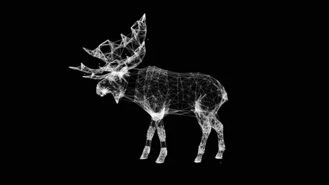 Bear animate  pelexus Stock Footage 197095812