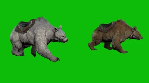 Bear Animation Set on Green Screen | Walking, Standing, Roaring Stock Footage 312549930