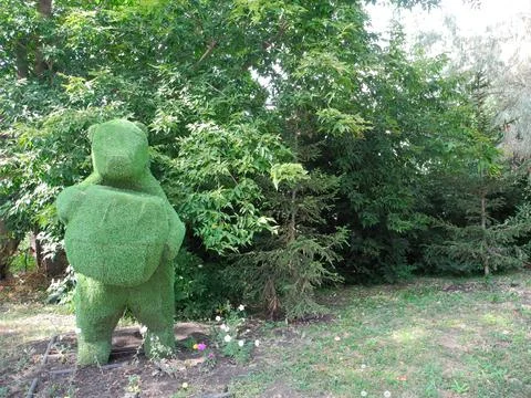 Bear from of artificial lawn grass, topiary figure in Ukraine street Stock Photos
