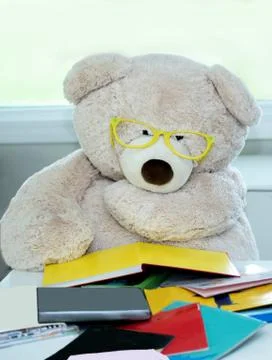 Bear with big glasses reads a stack of colorful books. Stock Photos