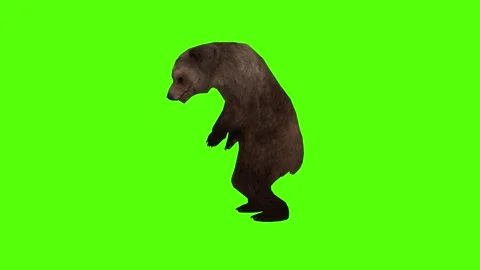 Bear Bite Green Sccreen Animation 4k Rendering Stock Footage 296263046