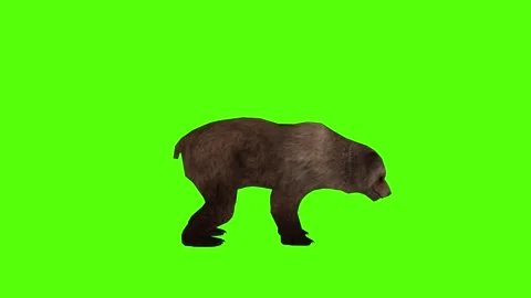 Bear Bite Green Sccreen Animation 4k Rendering Stock Footage 296263048