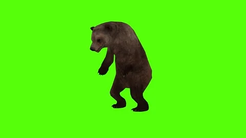 Bear Bite Green Sccreen Animation 4k Rendering Stock Footage 296263049