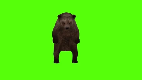 Bear Bite Green Sccreen Animation 4k Rendering Stock Footage 296263051