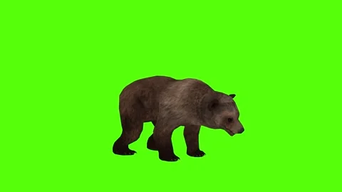Bear Bite Green Sccreen Animation 4k Rendering Stock Footage 296263054
