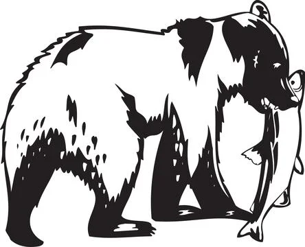 Bear Catching Fish Vector Illustration Stock Illustration