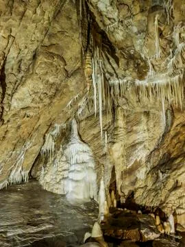 Bear Cave Poland Stock Photos