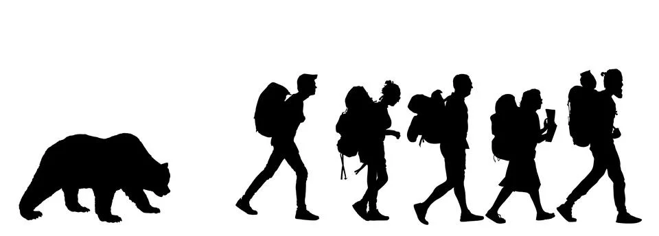 Bear chasing tracking tourists walking vector silhouette Иллюстрация