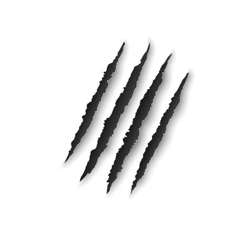 Bear claw marks, scratches, wild animal talon rips Stock Illustration