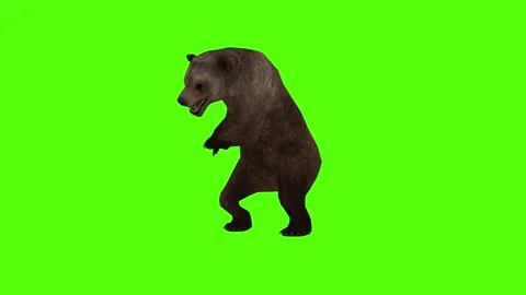Bear Claws Attack Green Sccreen Animation 4k Rendering Stock Footage 296263050