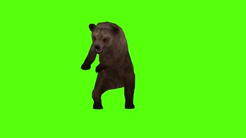 Bear Claws Attack Green Sccreen Animation 4k Rendering Stock Footage 296263056